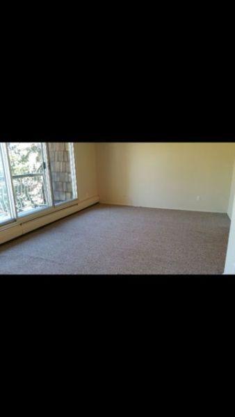 1 Bedroom Apartment for Rent Central Camrose