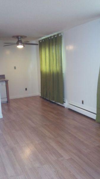 1 Bedroom Condo for Rent