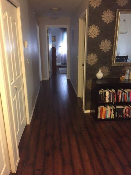 Wanted: ISO Roommate