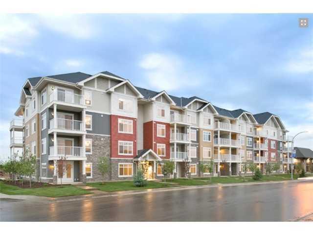 RENT THIS 2 BEDROOM 2 BATHROOM CONDO IN SKYVIEW RANCH NE