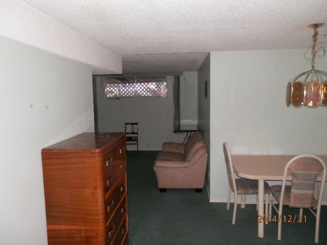 Spacious basement suite available immediately