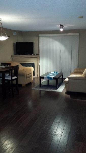 Furnished Luxury 2 Bedroom Condo in Prime Location