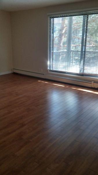 Two bedroom apartment for rent at 11940-104 Street NW