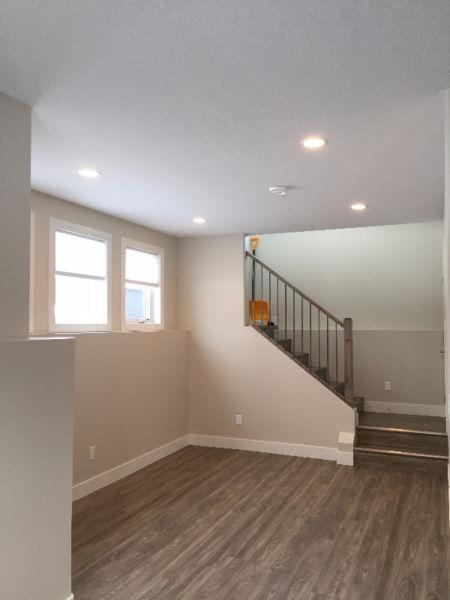 $1150 for Bright and Beautiful 2 Bed Lower Suite