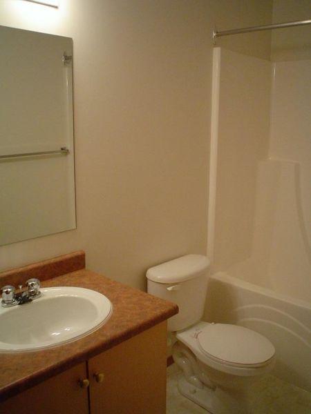 FULLY FURNISHED! - 2 BDRM - IN- SUITE LAUNDRY