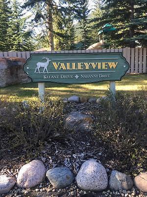 Wanted: Looking to buy a Valley View Townhouse in
