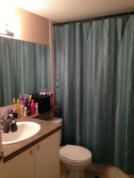 Bright clean basement suite for rent in martindale