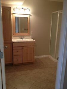 ENTIRE BASEMENT SUITE IN EVANSTON ***$650 ALL INCLUSIVE***