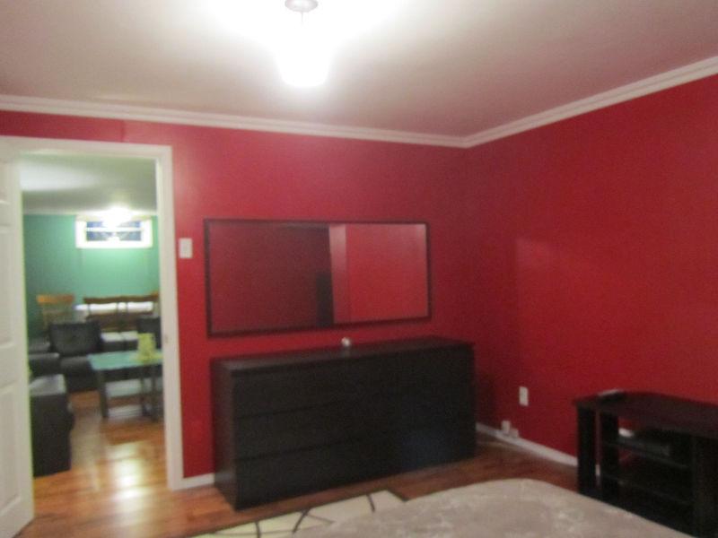Beautifully furnished one bedroom basement suite for rent