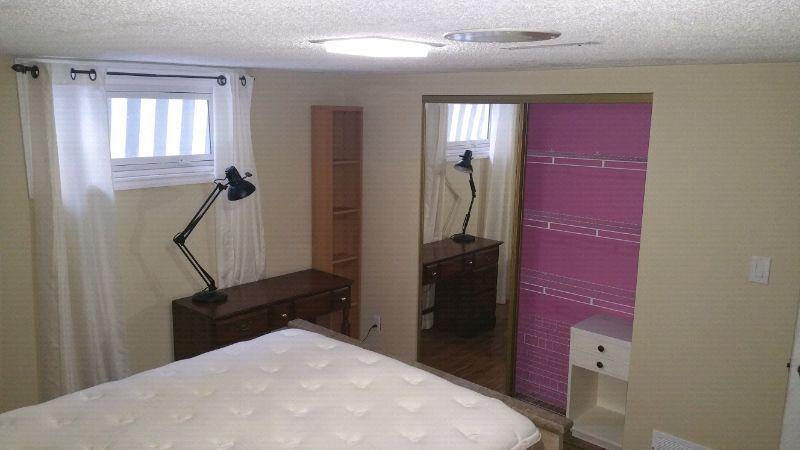 NEW Renovated furnished basement, has 2 rooms, one is rented, th