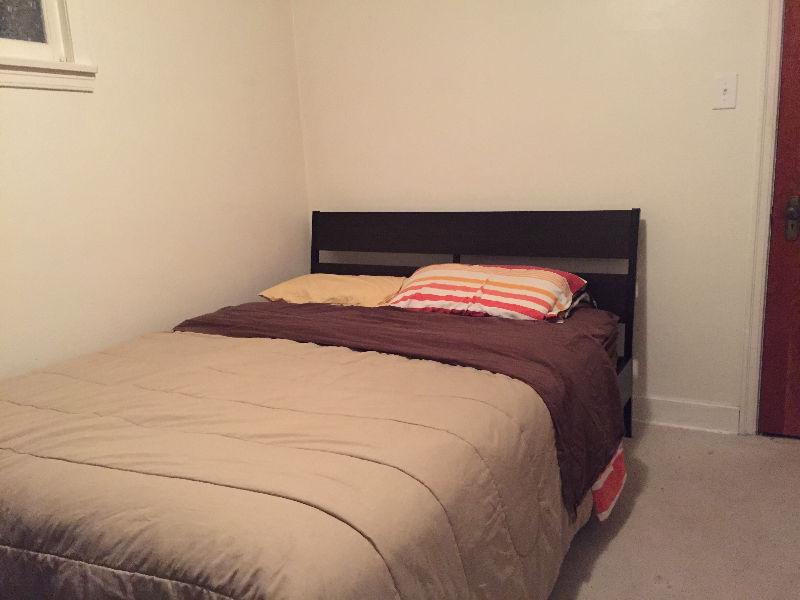 Walk out basement room for rent