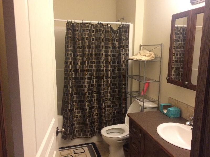 Room to rent