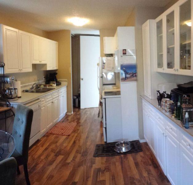 Roommate(s) needed to share pet friendly house in West Park