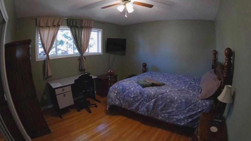 Guest Room - Airport,DownTown,SAIT,U of C,Transit,Shopping