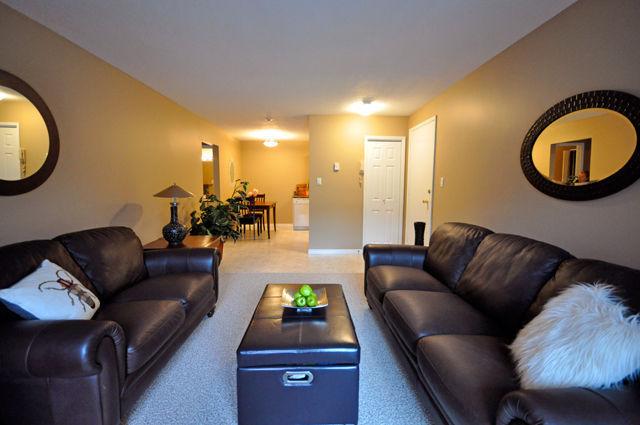 Curlew Apartments - 1 Bedroom Apartment for Rent