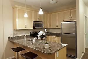 NEW 1 bed Unit - $1050.00 available June 1