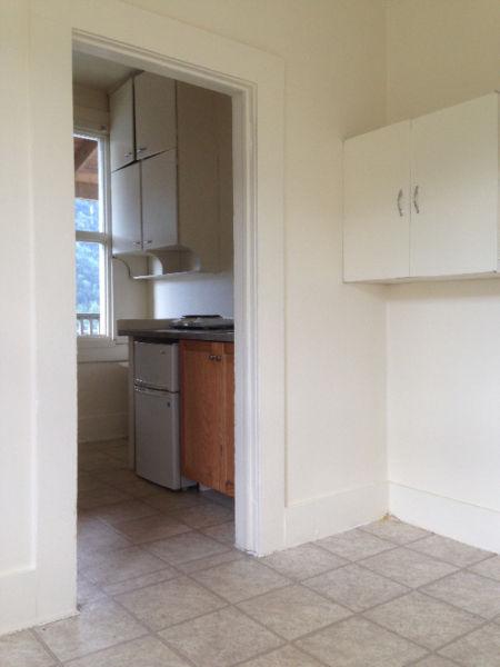 1 Bedroom Apartment Downtown  $500