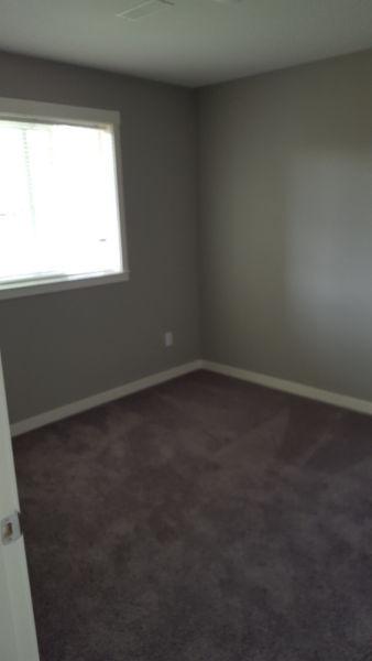 Brand New, Bright and open concept basement suite