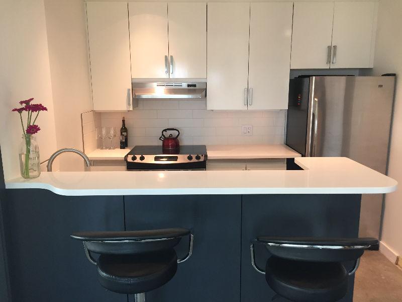Large 2 bed, 2 bath downtown condo! Furniture package optional