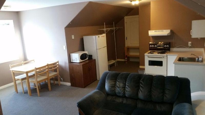 Bachelor Suite in Golden, BC (7 KM south of Golden)
