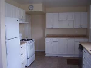 Furnished 4 plex  Cash flow 