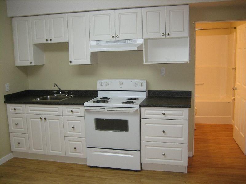 2 bedroom downtown suite - newly renovated