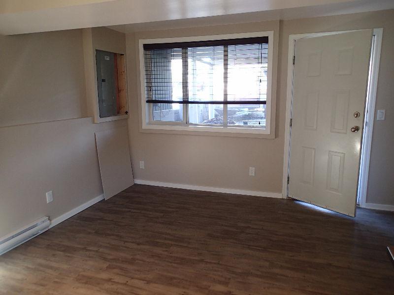 Basement Suite for rent