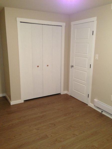 Large One Bedroom Basement Suite Close to University/Downtown