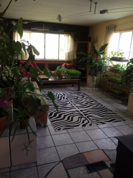 ROOM for RENT
