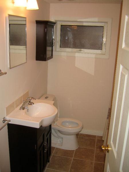 2 Bdr/1 Bth newly reno'd lower level unit in 's Horseshoe