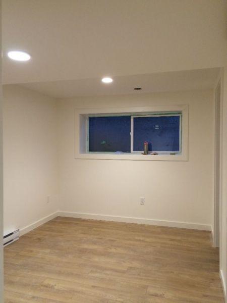 BRAND NEW 2 Bedroom 1 Bathroom Bright Basement Suite Armstrong