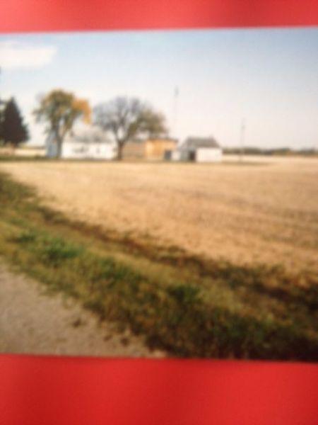 WHITE FOX, Sask 80 ACRES FARMLAND, HOUSE, GARAGE & SHOP