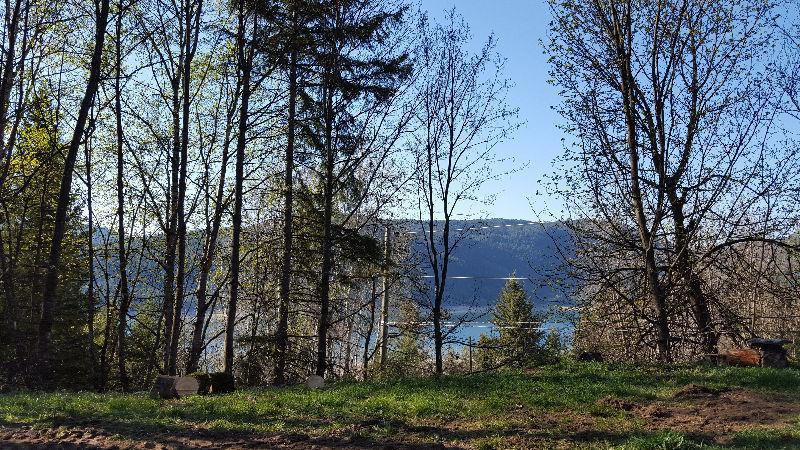 Land for Sale on the Arrow Lakes