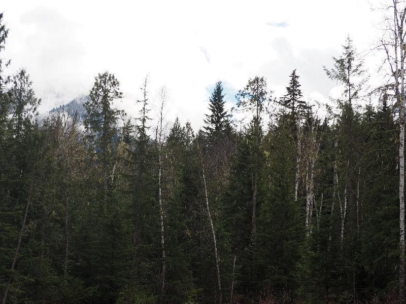 7 Acres Beautiful Mountain Land for Sale in Galena Bay, BC
