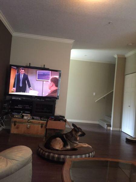 Seeking a couple roommates. Great mountain view