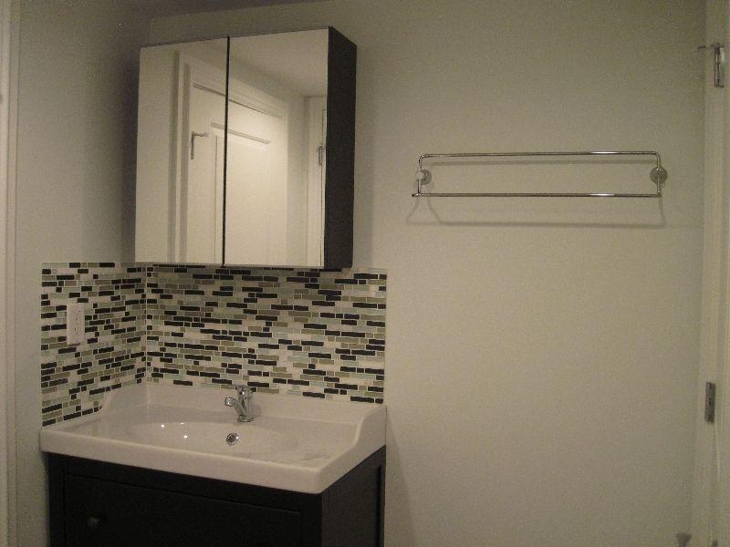 $725 Cambie/Douglas Park furnished room