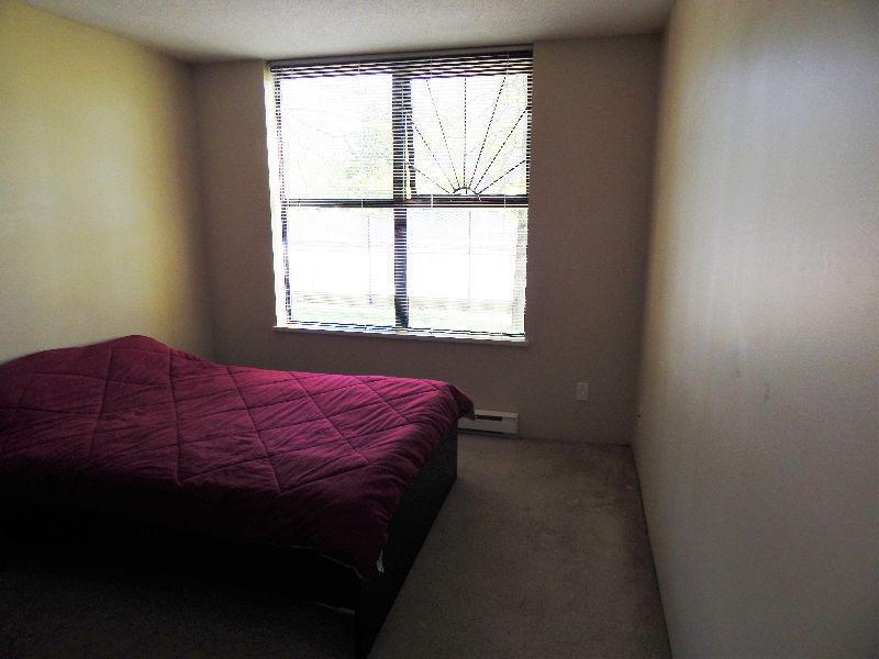 Room for rent in a 2 bedroom apartment