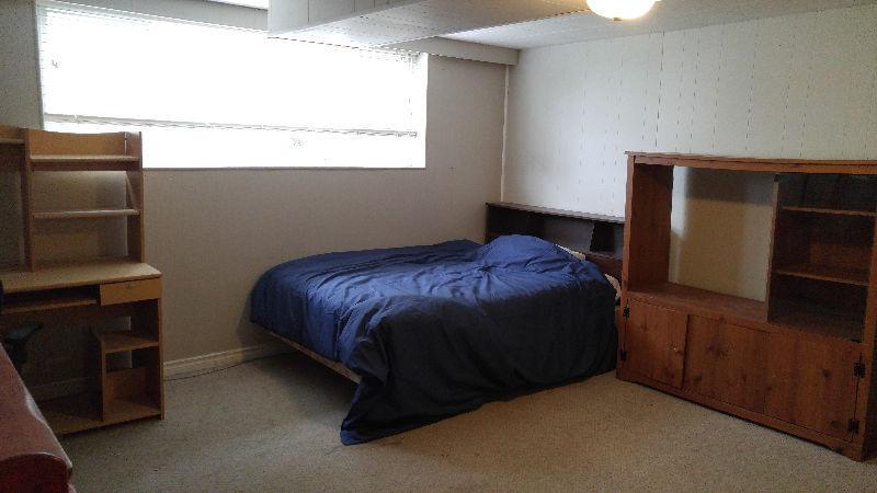 Large Furnished room available in basement suite