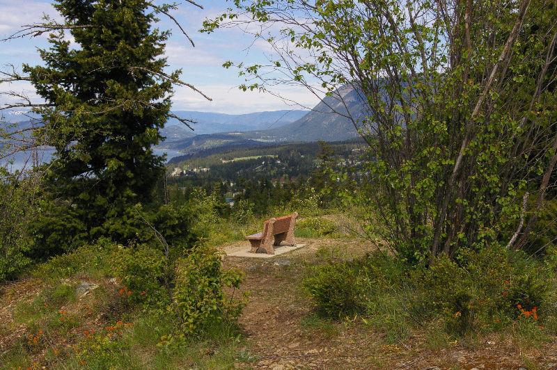 Wanted: Small rental cabin in the hills around Salmon Arm