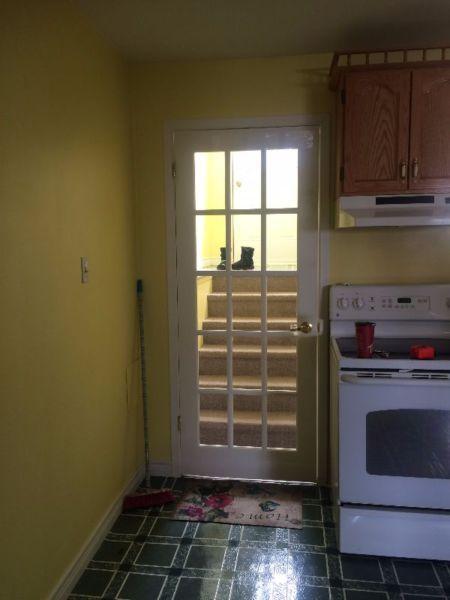 Above ground basement apartment