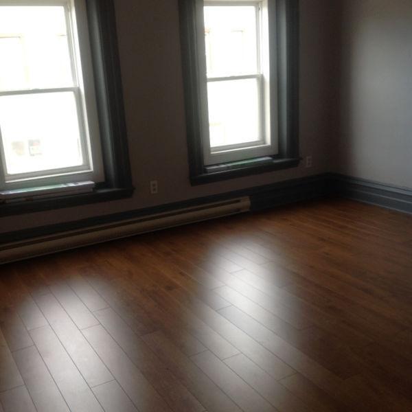Large one bedroom. Heat and lights included. City center