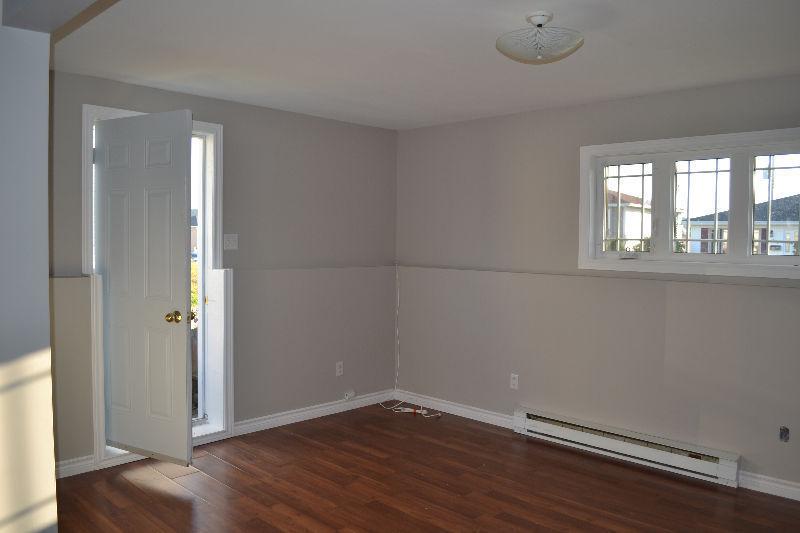 1 bedroom apt minutes from cbs bypass off fowlers rd available