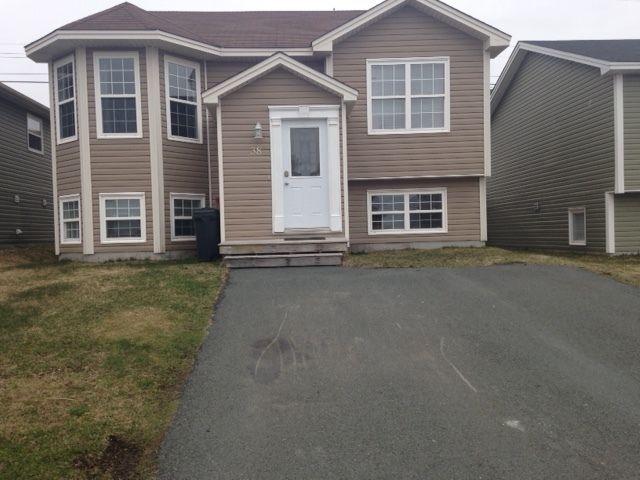 38a Macbeth Dr- Awesome 1 bedroom apt in Airport Heights