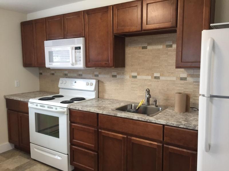 Beautiful Renovated Downtown Apartment