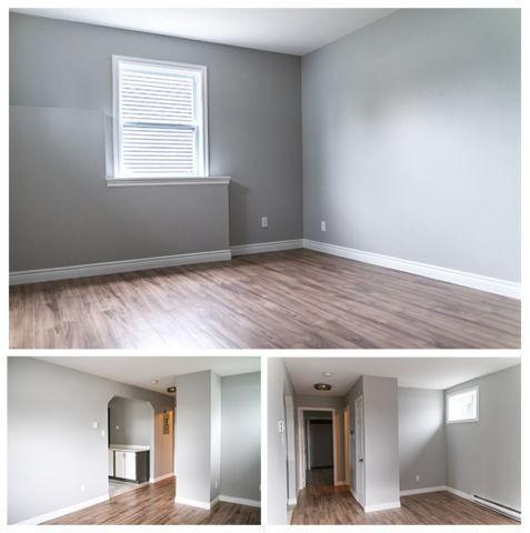 Newly Renovated Spacious 1 Bedroom Apt - Minutes from