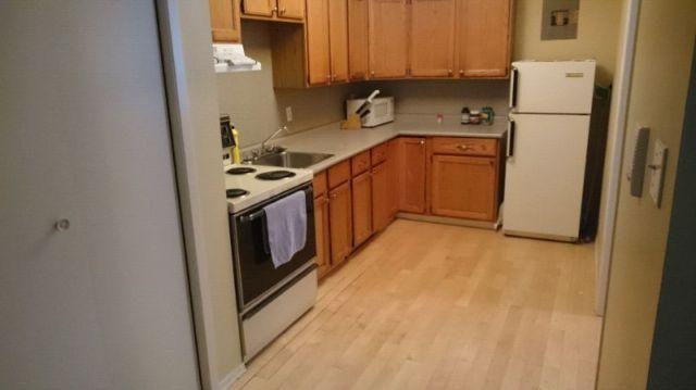 Beautiful and spacious 1 bedroom apartment available June 1