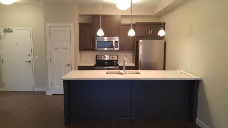 Brand new modern condo for rent
