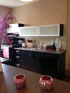 Spacious 1 bedroom appartment for sublet