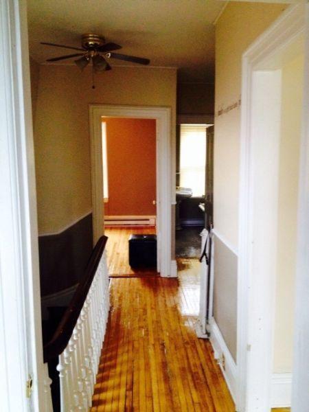 Large one bedroom apartment near Lily Lake