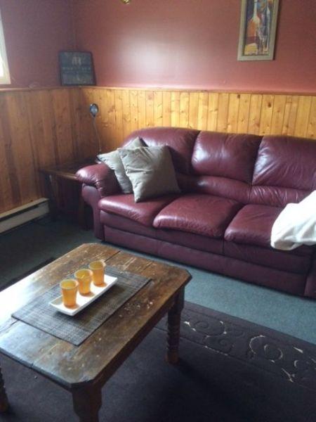 Fully Furnished 2 bedroom Apartment .. Marystown